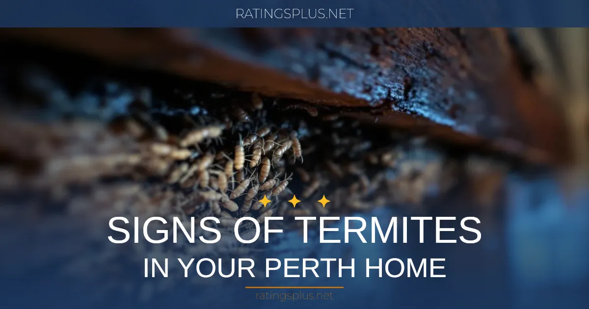 Signs of Termites in Your Perth Home: 10 Warning Signs to Watch For
