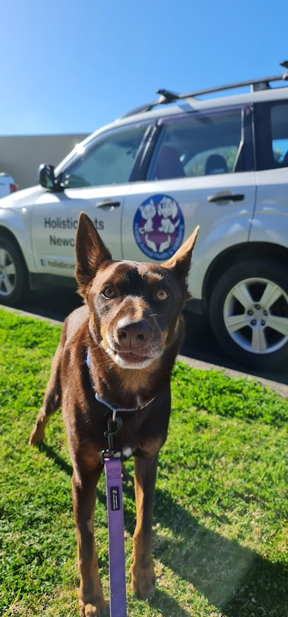Photo of Holistic Vets Newcastle