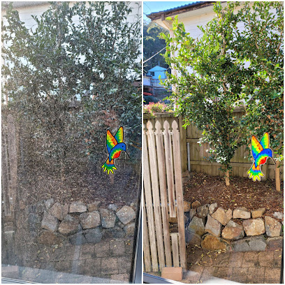 Photo of Hunter window cleaning