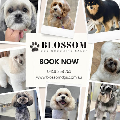 Photo of Blossom Dog Grooming Salon