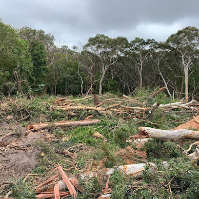 Photo of Stump grinding Central Coast And Tree Services Pty Ltd