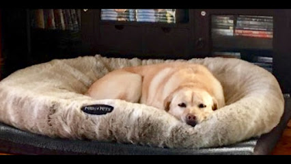 Photo of Pods4Pets