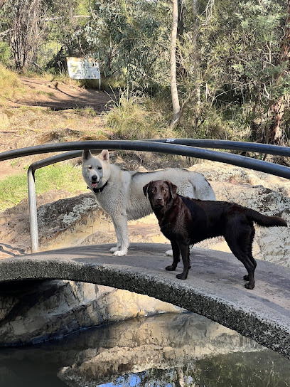 Photo of Tails with Tayla