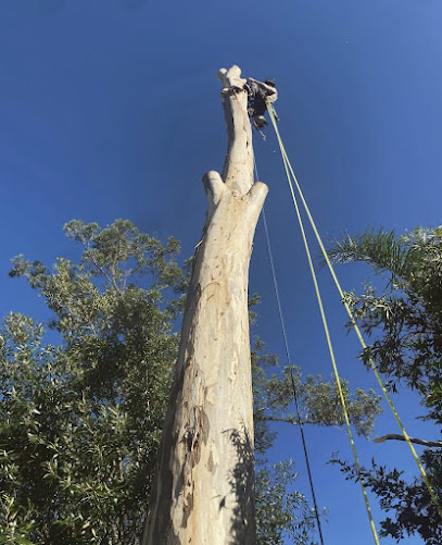 Photo of Cooney's Tree Care