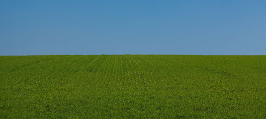 Photo of GA’s Waste Solutions
