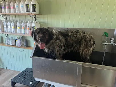Photo of Caninos Grooming