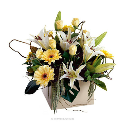Photo of Primavera Flowers