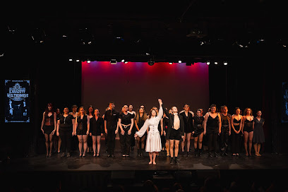 Photo of Academy of Music and Performing Arts (AMPA) | Surry Hills