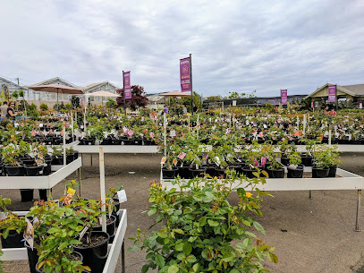 Photo of Swane's Nursery