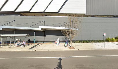 Photo of Platypus Green Hills