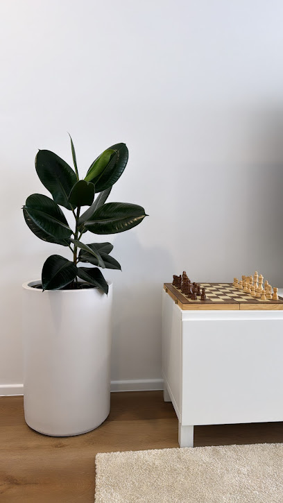 Photo of Anima Gardens