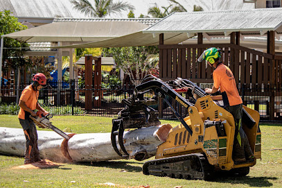 Photo of JC Tree Services