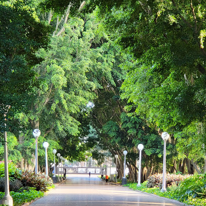 Photo of Hyde Park