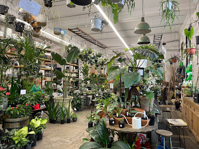 Photo of Fitzroy Nursery