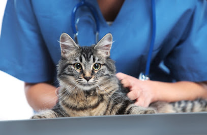 Photo of Melbourne Cat Vets