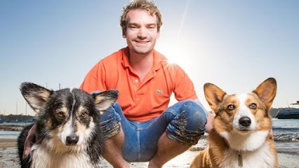 Photo of Southern Cross Vet Inner West