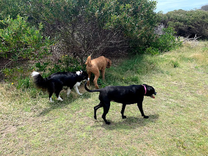 Photo of Tails on Trails