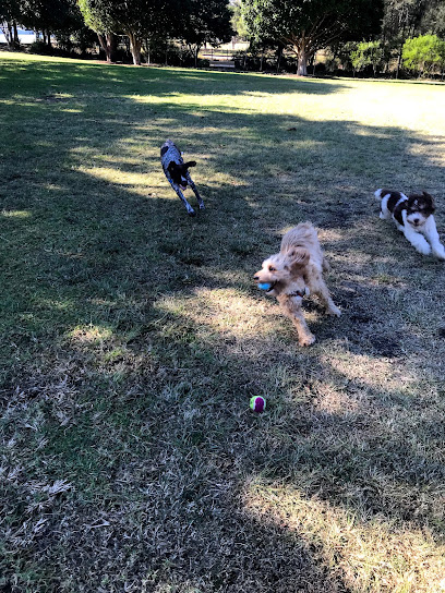Photo of City Sniffers Dog Walking Sydney