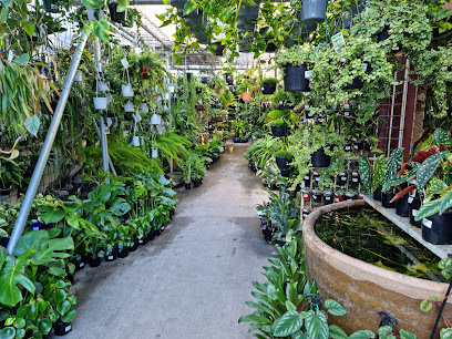 Photo of Mappin's Nursery & Aquarium