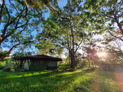 Photo of Hypnotherapy in Brisbane - Make It Happen Hypnotherapy