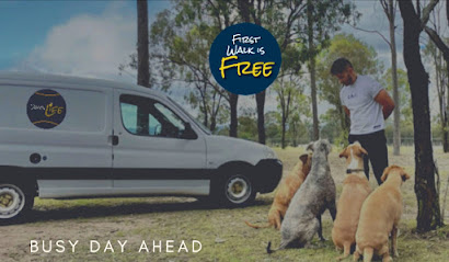Photo of Dogs Life Brisbane