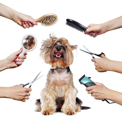 Photo of Ruff Ruff Dog Grooming & Daycare