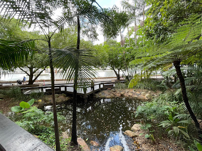 Photo of Rainforest Walk