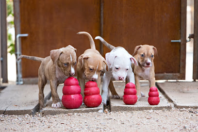 Photo of Pets of Sandgate