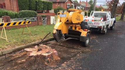Photo of Albury Wodonga Tree Stump Removal