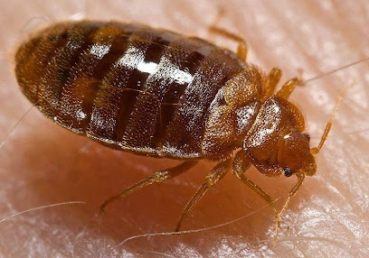 Photo of Pestpac Pest Control Albury Wodonga