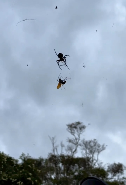 Photo of All Seasons Pest Control