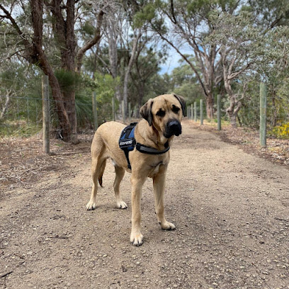 Photo of Perth Paws And Tails