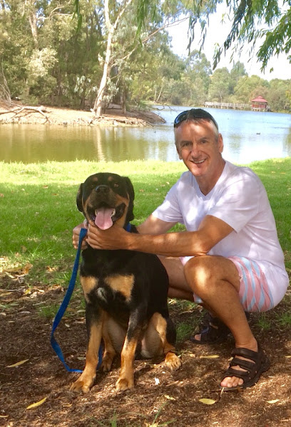 Photo of Allpet House Sitters