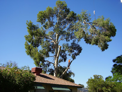 Photo of WA TreeWorks
