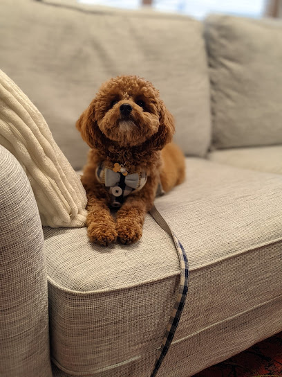 Photo of Perth Canine Craft Pty Ltd