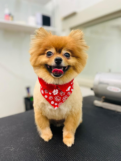 Photo of Gentle Paws Dog Grooming - North Perth