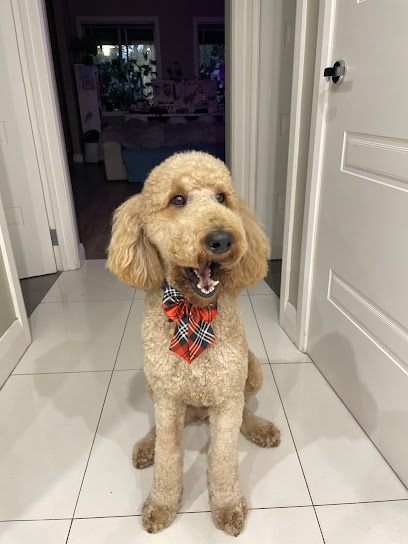 Photo of Pepper & Murphy's Dog Grooming Salon