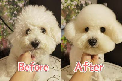 Photo of Wagging pet grooming