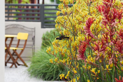 Photo of Get-Eco Adelaide's Sustainable Landscape Designer