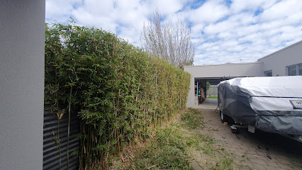 Photo of All Out Tree Removal Adelaide