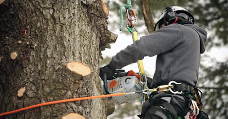 Photo of CTL Tree Service SA