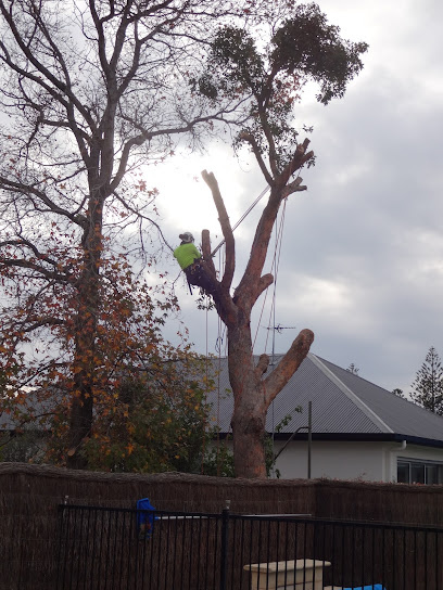 Photo of SA Tree Recyclers - Tree Removal Adelaide