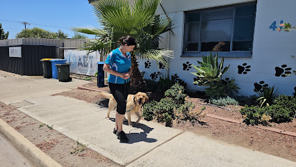 Photo of Advance Behavioural Training