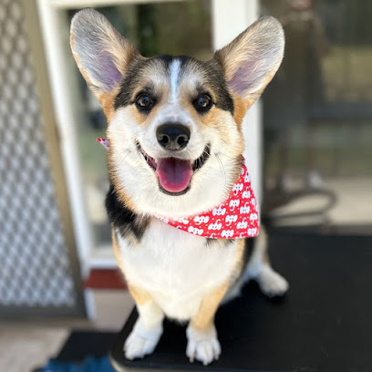 Photo of Dog Love Grooming