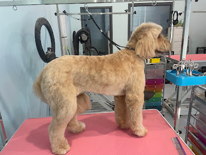Photo of Bella’s Grooming Haven