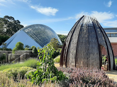 Photo of Adelaide Botanic Garden