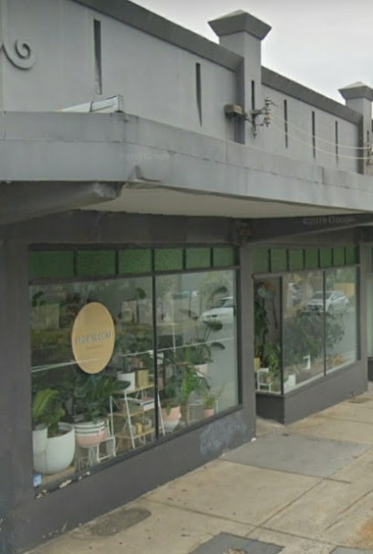 Photo of Fig & Bloom
