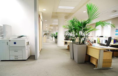 Photo of WOW Facility Cleaning Services