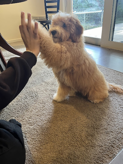 Photo of WOOOF Dog Grooming