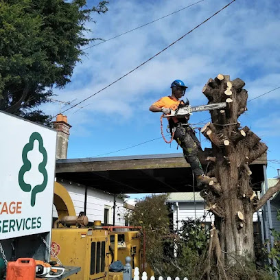 Photo of Armitage Tree Services